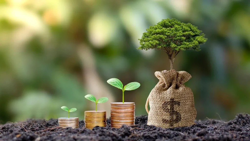 Cómo alcanzar la libertad financiera desde cero